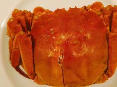 -裕兴记•蟹黄面馆(人民广场店)