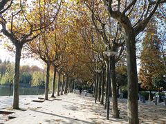 -泰州凤城河风景区-泰山公园