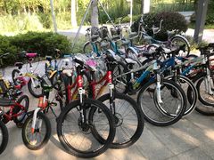 -昆山城市生态森林公园