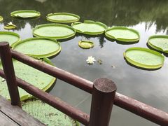 -上海滨江森林公园