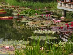 -国家植物园南园