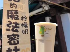 -猫的魔法密林(衣裳街店)