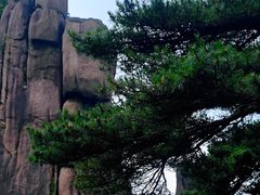 -黄山白云宾馆