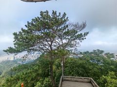 -白云山风景名胜区