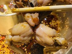 -同蛙阁美蛙鱼头火锅