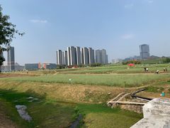 -光明小镇欢乐田园