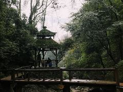 -青城山