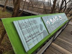 -西湖风景区-江洋畈生态公园