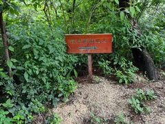-寂照庵