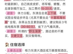 -东澳岛