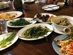 -绿光森林餐厅
