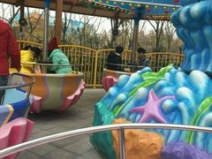 -芜湖黄河国际旅行社