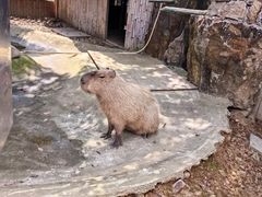 -无锡动物园·太湖欢乐园