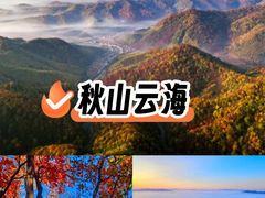 -天女山森林公园