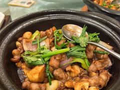 -朱记乳鸽王·非遗石岐乳鸽·全鸽宴(大兴旗舰店)