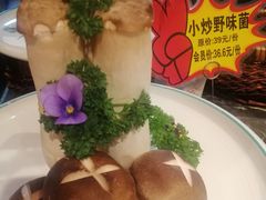 -鸽子窝(宋庄店)
