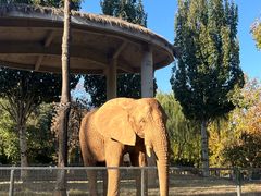 -石家庄市动物园