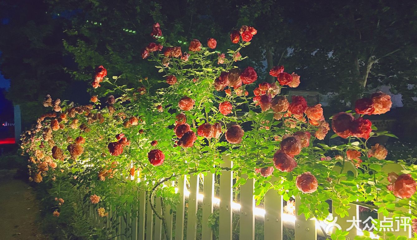 晚风悠然、跌入了花的时间。