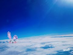 -郑州新郑国际机场-T2航站楼