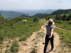 -阳台山自然风景区