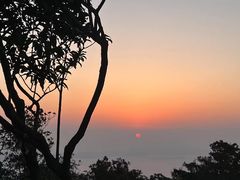 -梧桐山风景名胜区