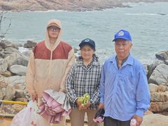 -广东惠东海龟国家级自然保护区