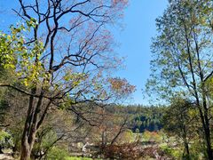 -塔川景区