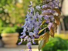 -大堂吧·下午茶·特调鸡尾酒(大连一方城堡豪华精选酒店)