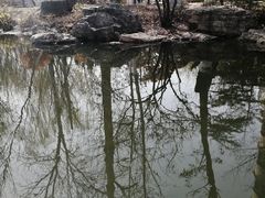 -桃花堤公园