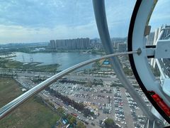 -海合安武汉极地海洋公园