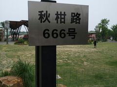 -上海长兴岛郊野公园