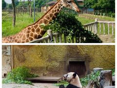 -常州淹城野生动物世界