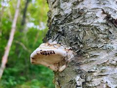 -白草畔自然风景区