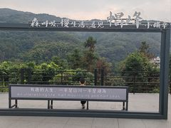 -广州市帽峰山景区