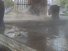 -中家鑫园温泉酒店鑫悦汤泉