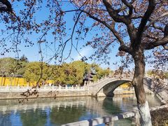 -西园戒幢律寺
