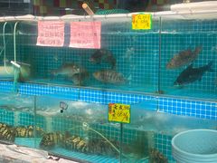-石岐乳鸽村(南海第三分店)