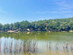 -南京市无想山景区