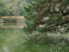 -阿育王寺