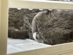 -拜鲁耶动物诊疗中心·宠家动物医院