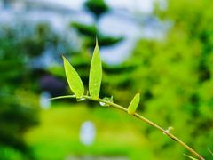 -张家界青和锦江国际酒店