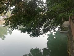 -成都市活水公园