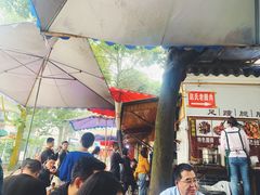 -张醪糟