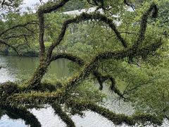 -潮州西湖