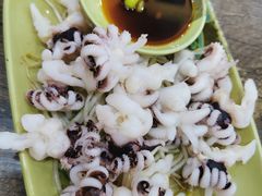 芥末海菊花-贞姨美食·老字号海鲜大排档