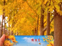 -钓鱼台国宾馆