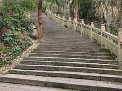 -普陀山风景区-佛顶山