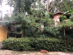 -生态园山庄(森林公园店)