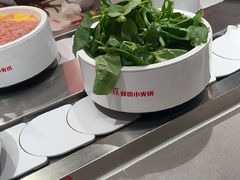 -龍歌自助小火锅(雨花台江南虹悦城店)