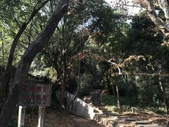 -浙江大学(玉泉校区)